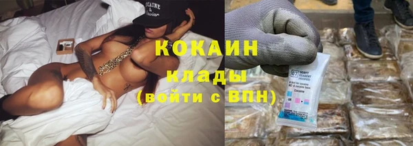 ПСИЛОЦИБИНОВЫЕ ГРИБЫ Богданович