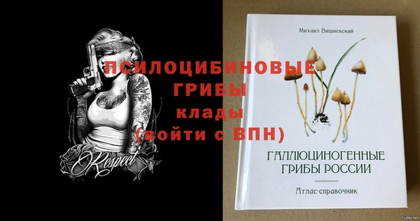 сатива Богородск