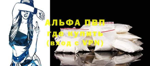 спайс Бородино