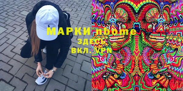 ГАЛЛЮЦИНОГЕННЫЕ ГРИБЫ Белокуриха