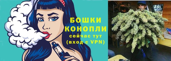 хмурый Бронницы