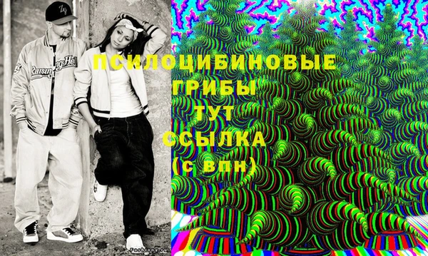 ПСИЛОЦИБИНОВЫЕ ГРИБЫ Богданович