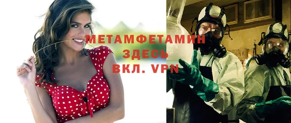 ПСИЛОЦИБИНОВЫЕ ГРИБЫ Богданович